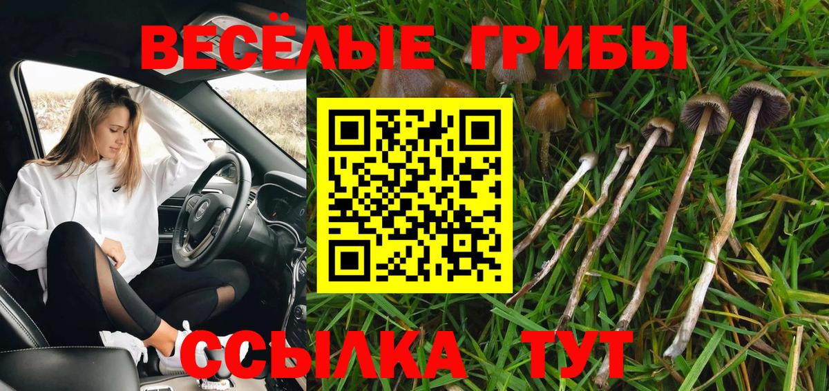 Галлюциногенные грибы мицелий  Вход с VPN  Курчалой  Псилоцибиновые грибы MAGIC MUSHROOMS 