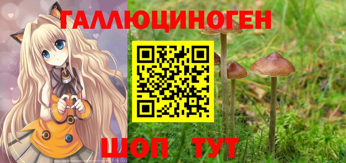 Псилоцибиновые грибы мухоморы Курчалой